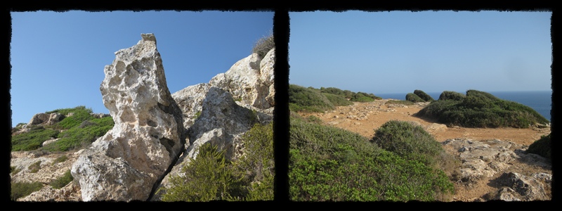 F005.jpg